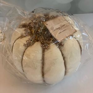 Bethany Lowe designs brand new white pumpkin